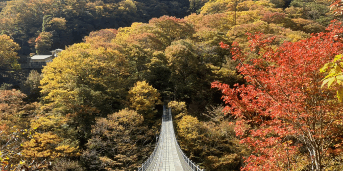 祖谷の観光サイト/龍宮崖公園