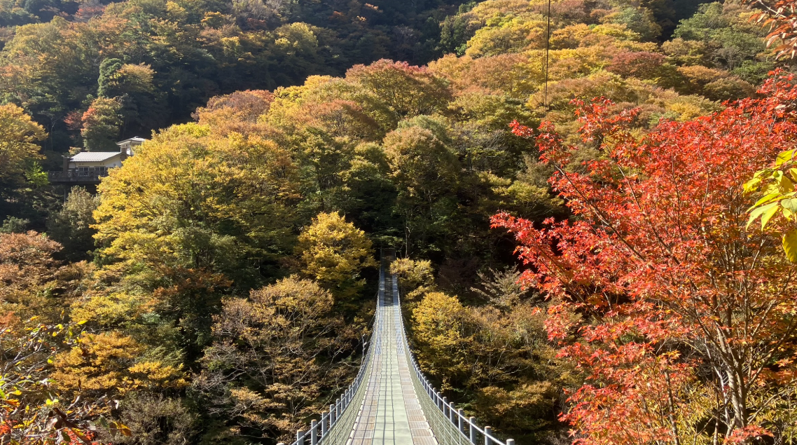 祖谷の観光サイト/龍宮崖公園