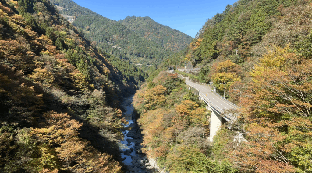 祖谷の観光サイト/龍宮崖公園