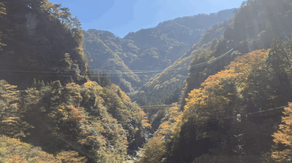 祖谷の観光サイト/龍宮崖公園