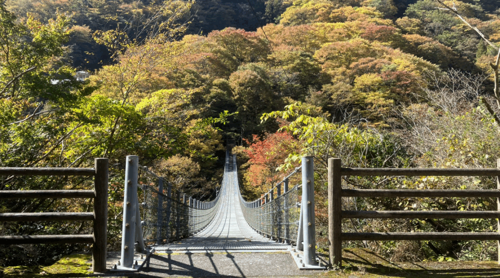 祖谷の観光サイト/龍宮崖公園