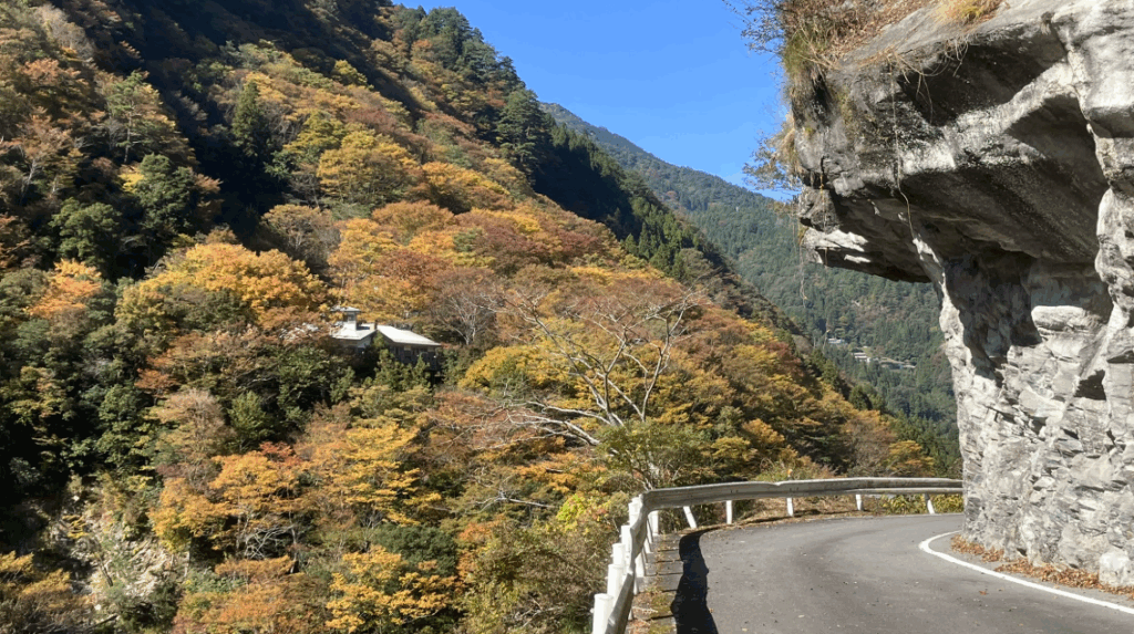 祖谷の観光サイト/龍宮崖公園