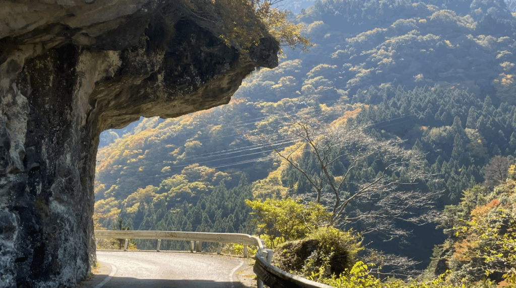 祖谷の観光サイト/龍宮崖公園