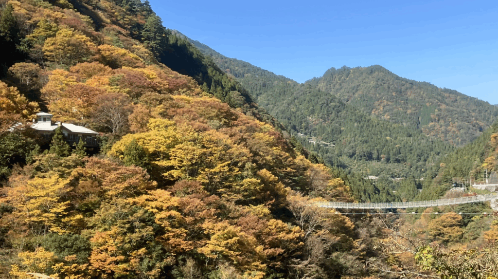 祖谷の観光サイト/龍宮崖公園