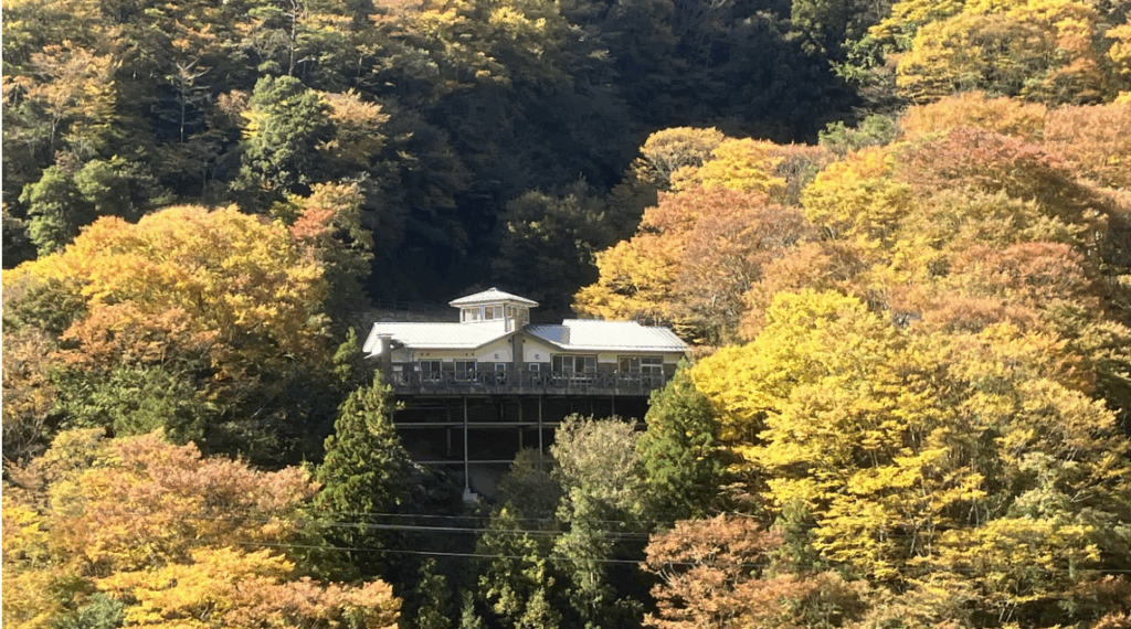 祖谷の観光サイト/龍宮崖公園