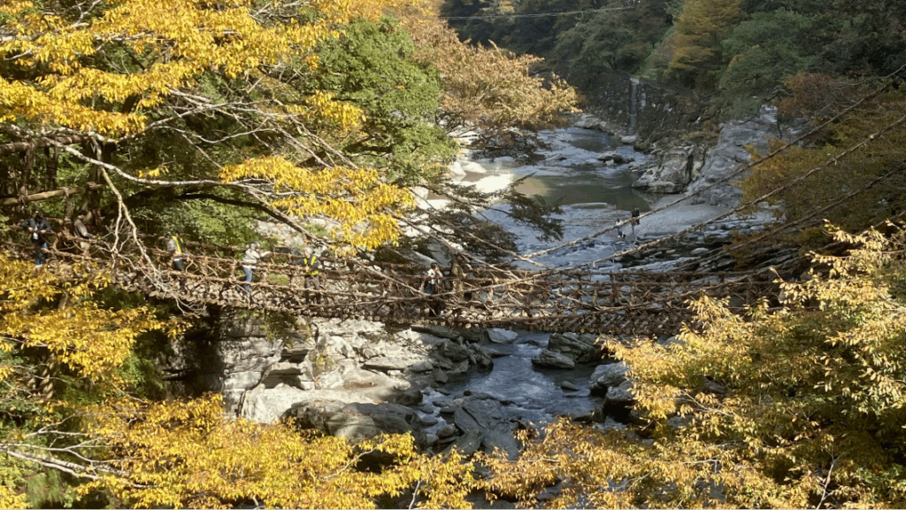 祖谷の観光サイト/祖谷のかずら橋/紅葉