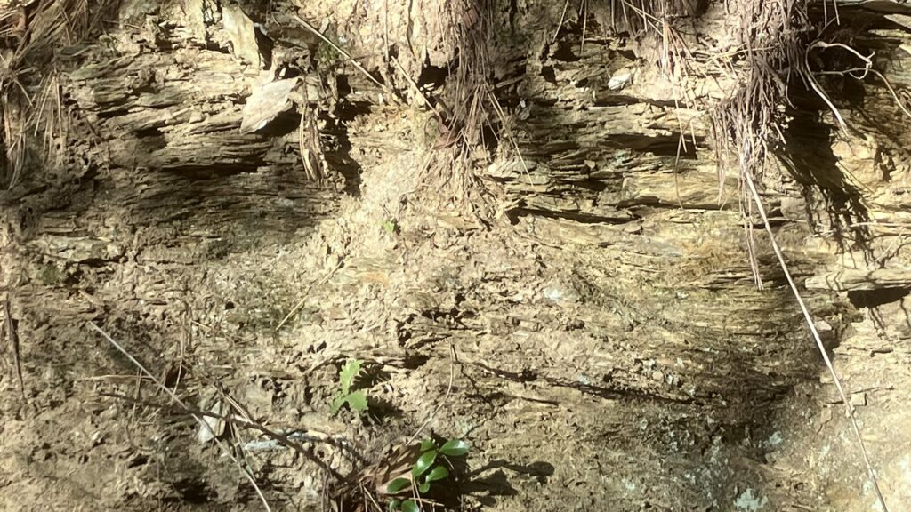 祖谷の観光サイト/堀切大師/岩肌