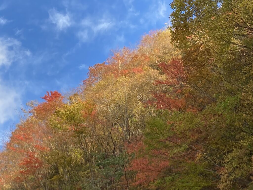 祖谷の観光サイト/落合峠