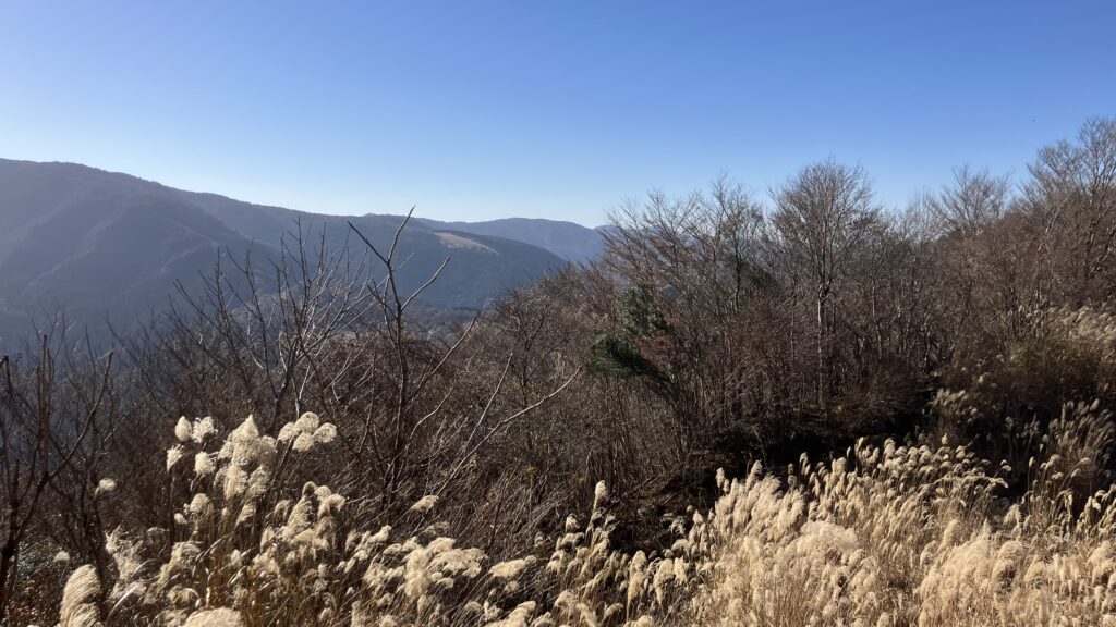 祖谷の山/林道阿佐尻線/高知方面の景色