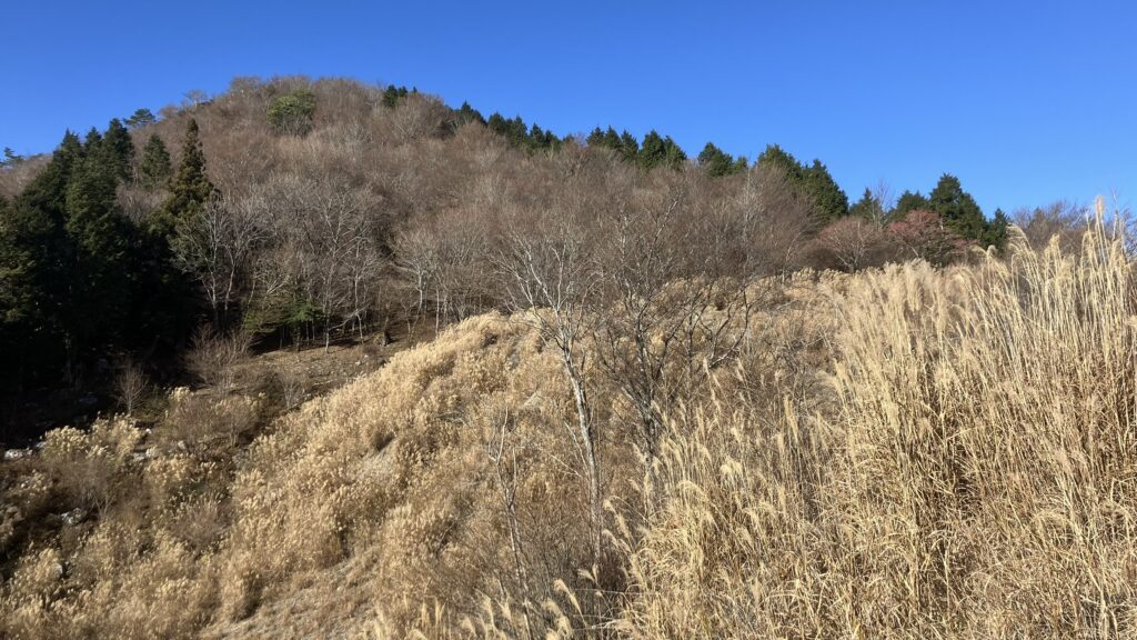 祖谷の山/林道阿佐尻線/阿佐尻山方面