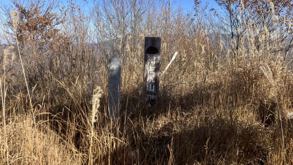 祖谷の山/阿佐尻山/頂上