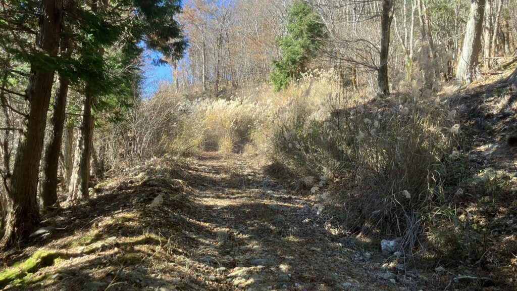 祖谷の山/林道阿佐尻線/阿佐尻山方面