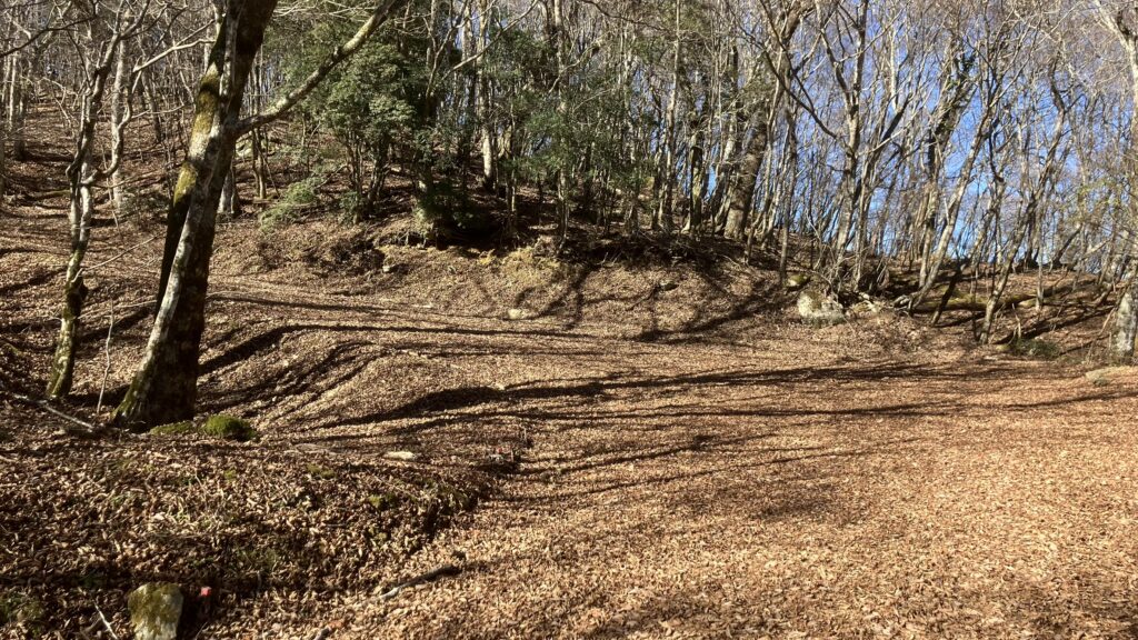 祖谷の山/林道阿佐尻線/広葉樹林