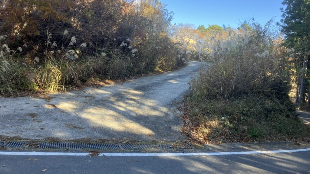祖谷の山/林道阿佐尻線入口