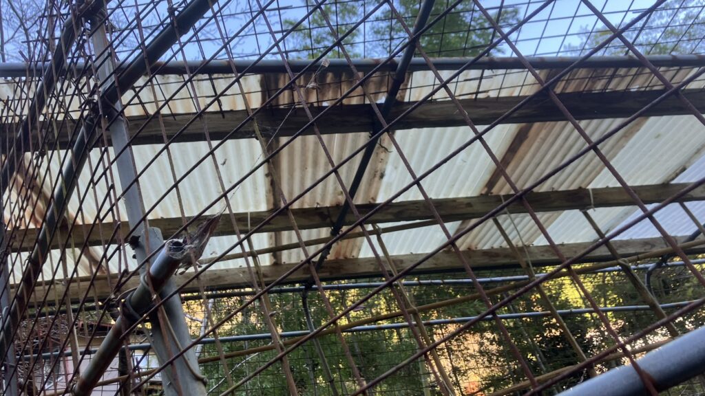 祖谷の生活/害獣除けゲージ