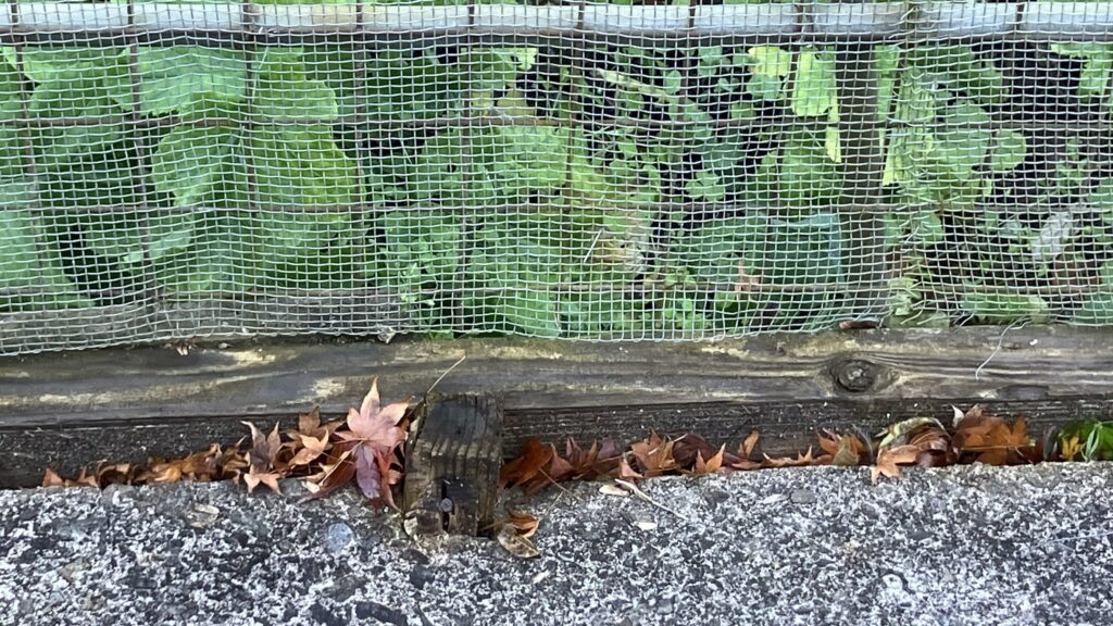 祖谷の生活/害獣除けゲージ