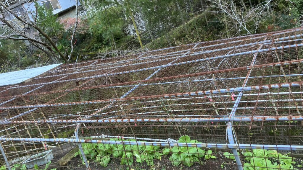 祖谷の生活/害獣除けゲージ