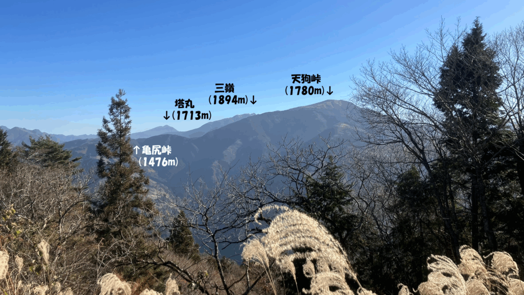 祖谷の山/林道阿佐尻線/広場からの景色