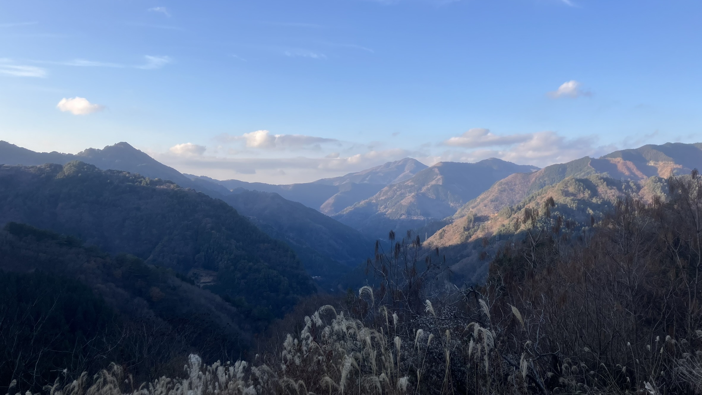 祖谷の風景/天上の林道からの景色