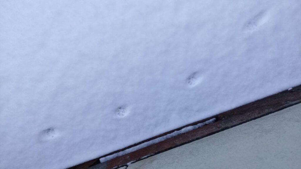 祖谷の風景/タヌキの足跡