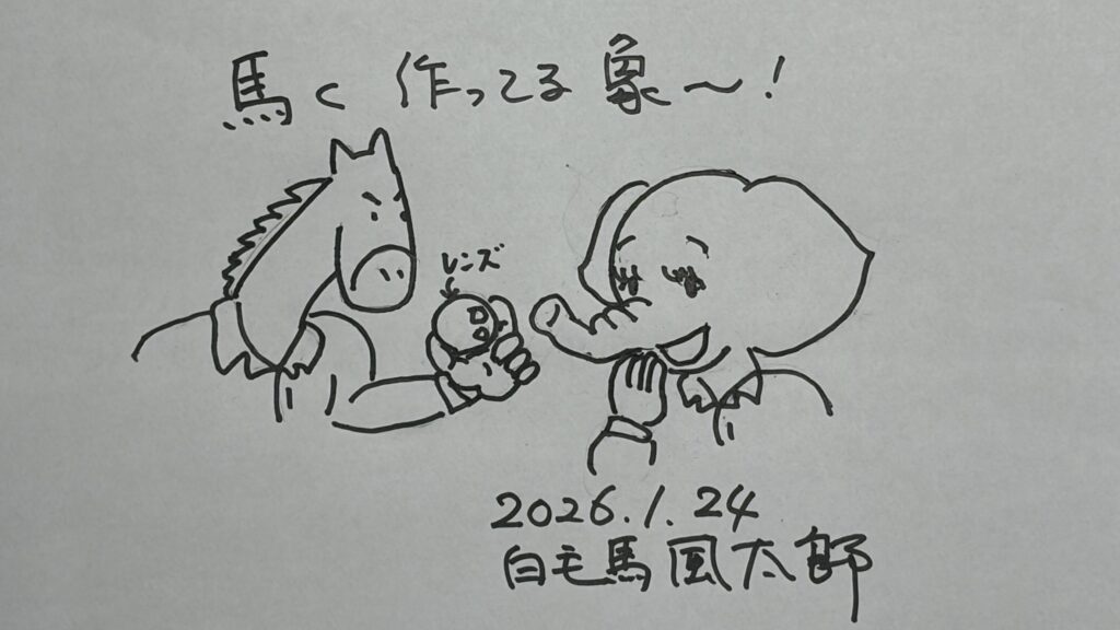 馬と象のイラスト