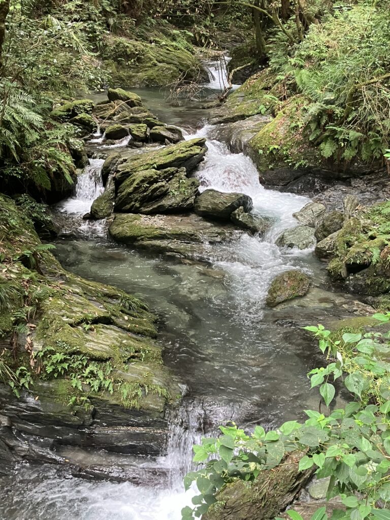 大歩危藤川谷/赤子淵への渓流