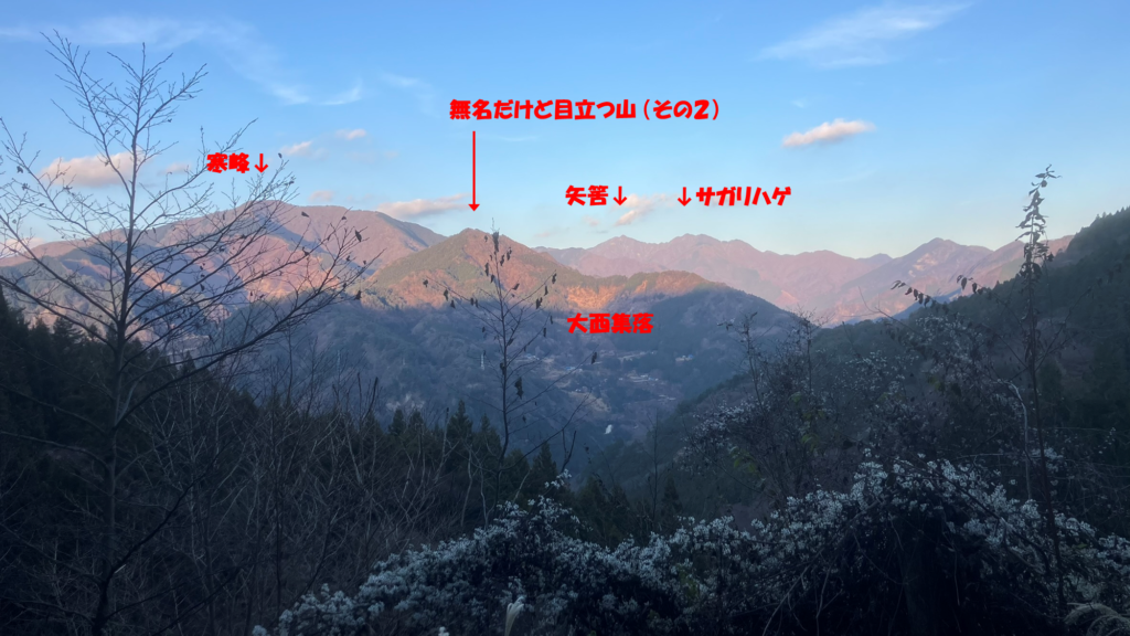 天上の林道からの景色/大西集落