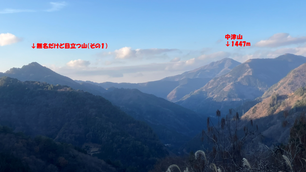 天上の林道からの景色/中津山