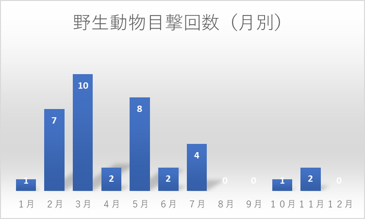野生動物目撃回数(月別)