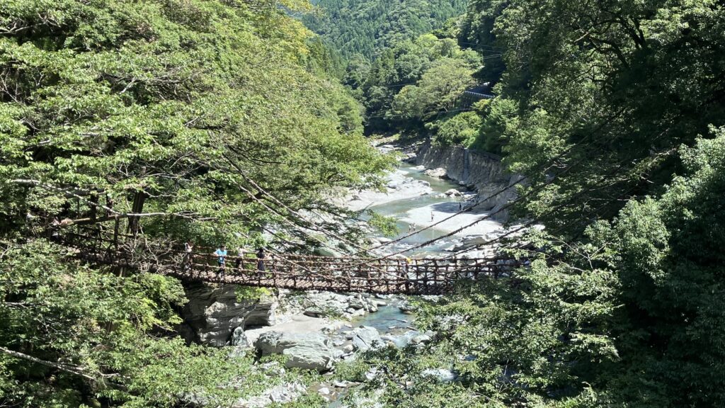 新緑の祖谷のかずら橋