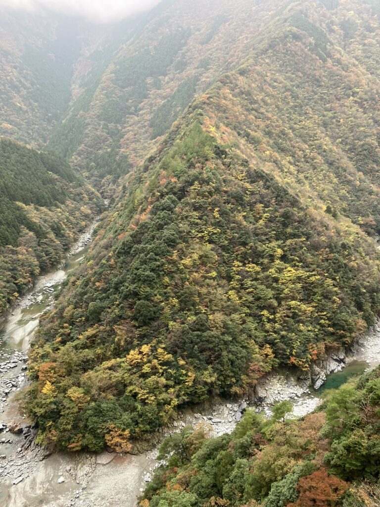 祖谷の観光/ひの字渓谷