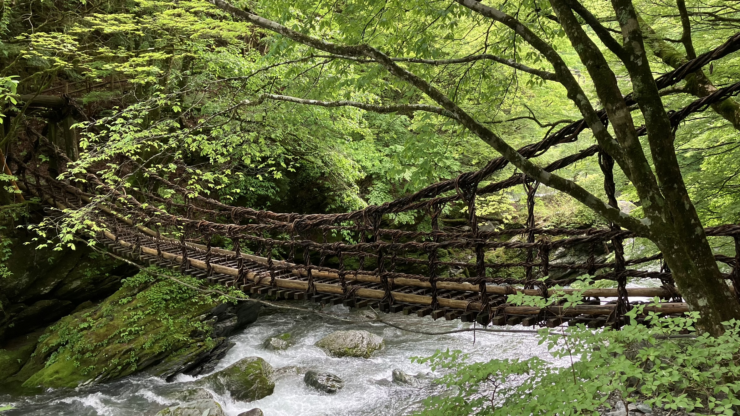 祖谷の観光サイト/奥祖谷二重かずら橋