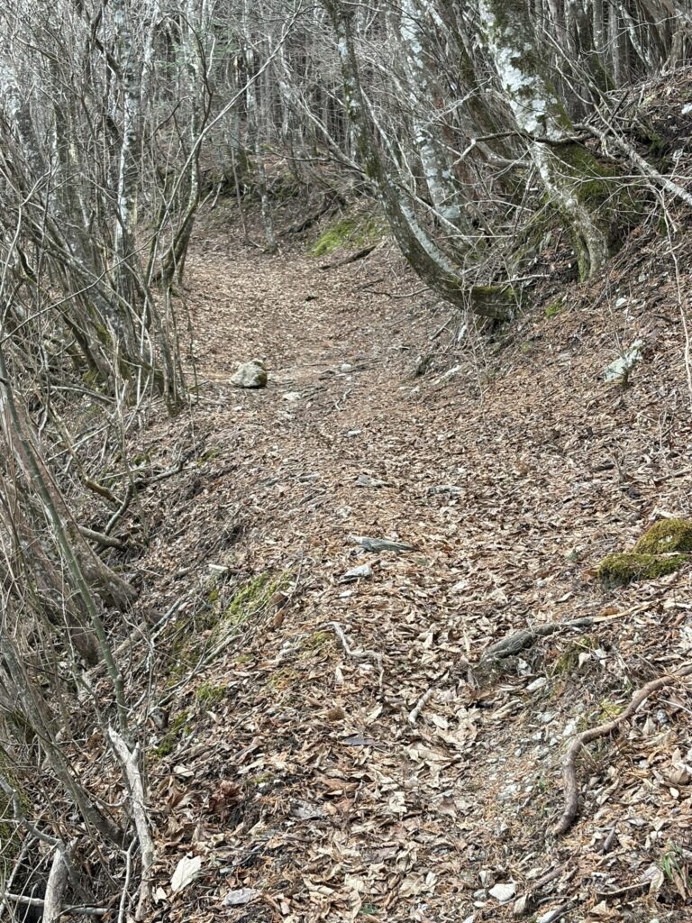 小桧曽山の登山道