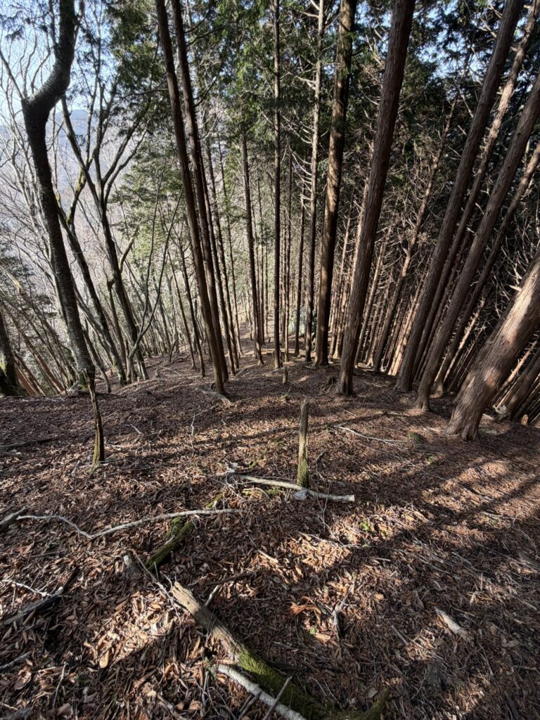 小桧曽山の登山道