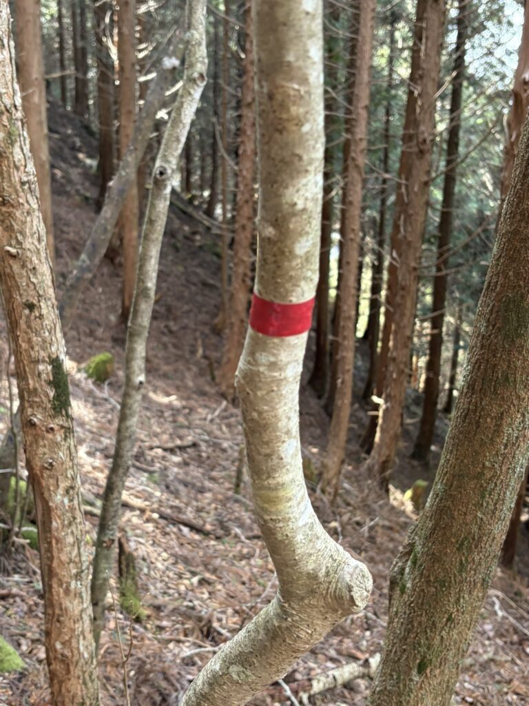 小桧曽山の風景/マーカー