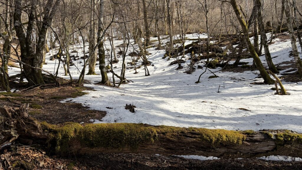 小桧曽山の風景/雪景色
