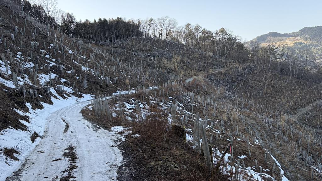 小桧曽山の風景/林道