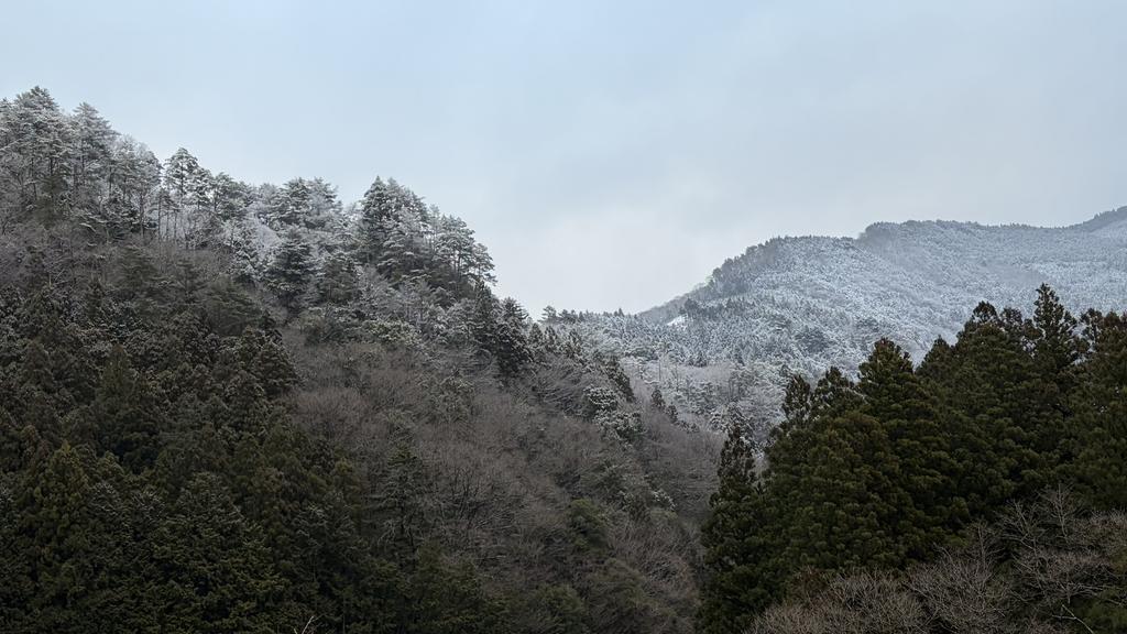 窓からの風景/雪