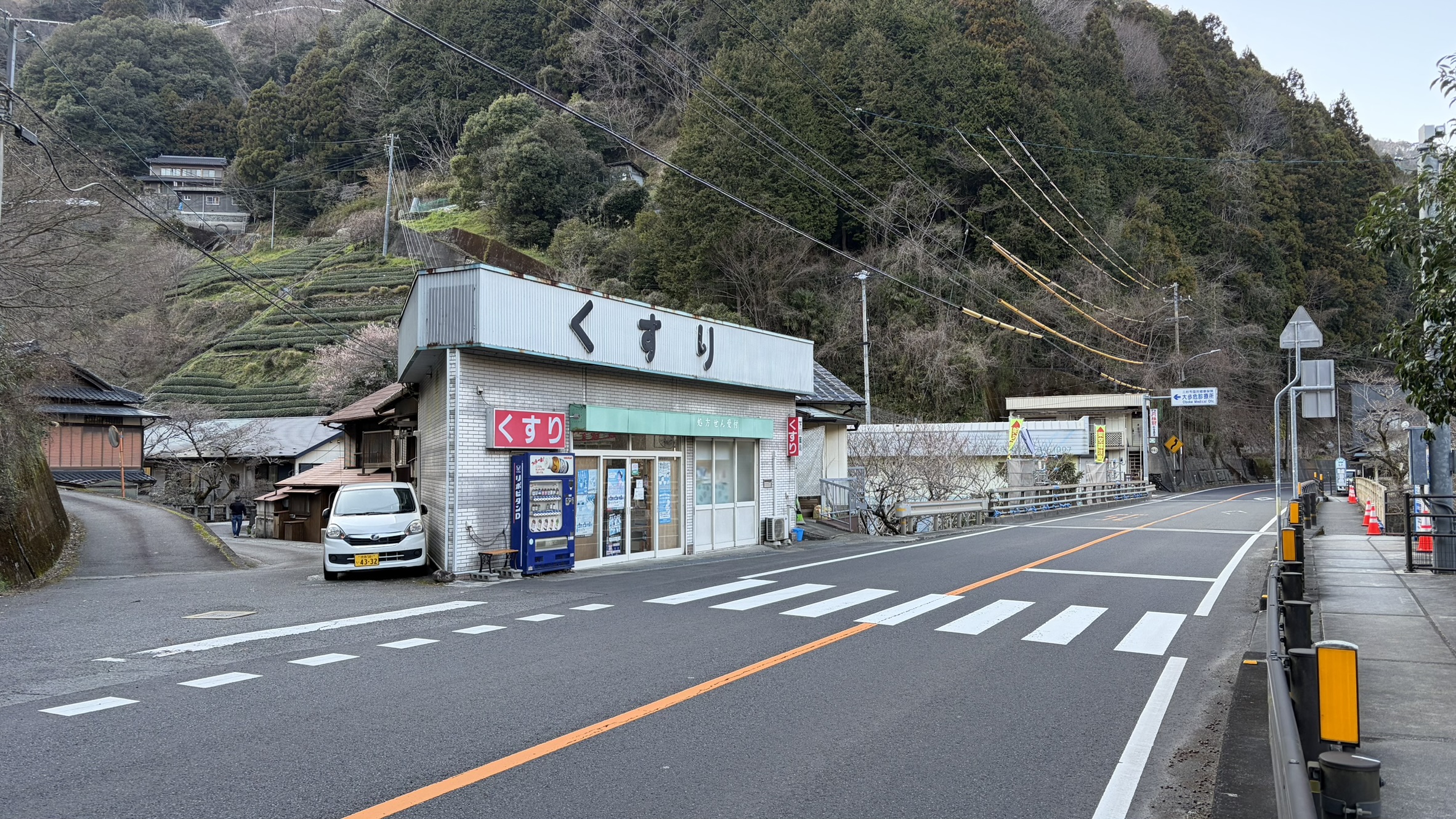 大歩危駅近くの薬局