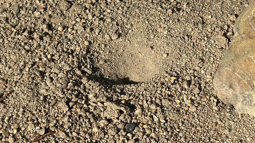 祖谷の風景/蟻地獄