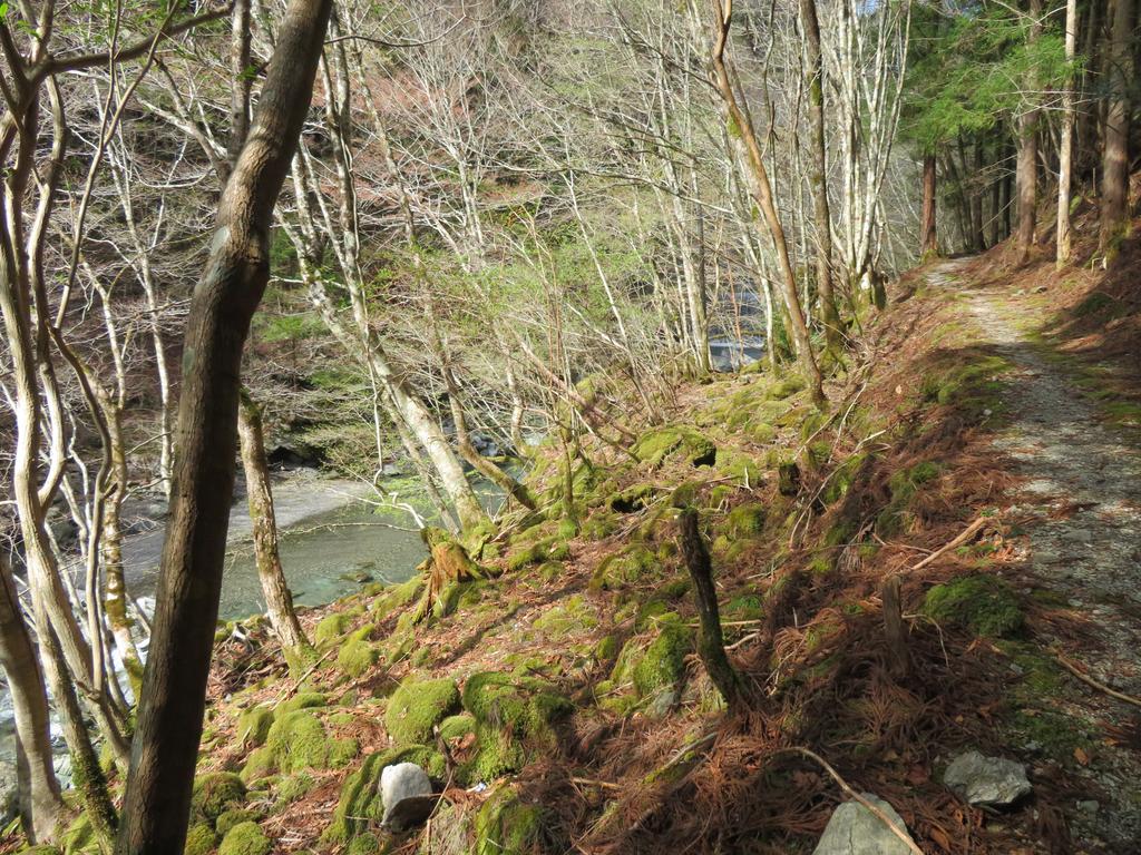 奥祖谷二重かずら橋/遊歩道