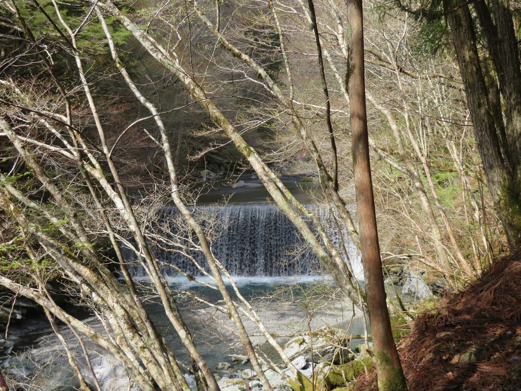 奥祖谷二重かずら橋/遊歩道の景色(’堰堤)