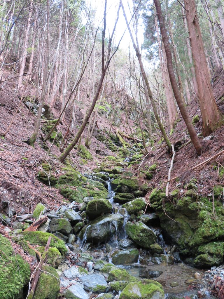 奥祖谷二重かずら橋/遊歩道の景色(谷川)