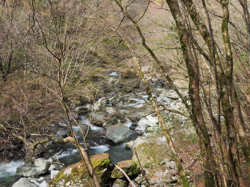 奥祖谷二重かずら橋/遊歩道の景色(川)