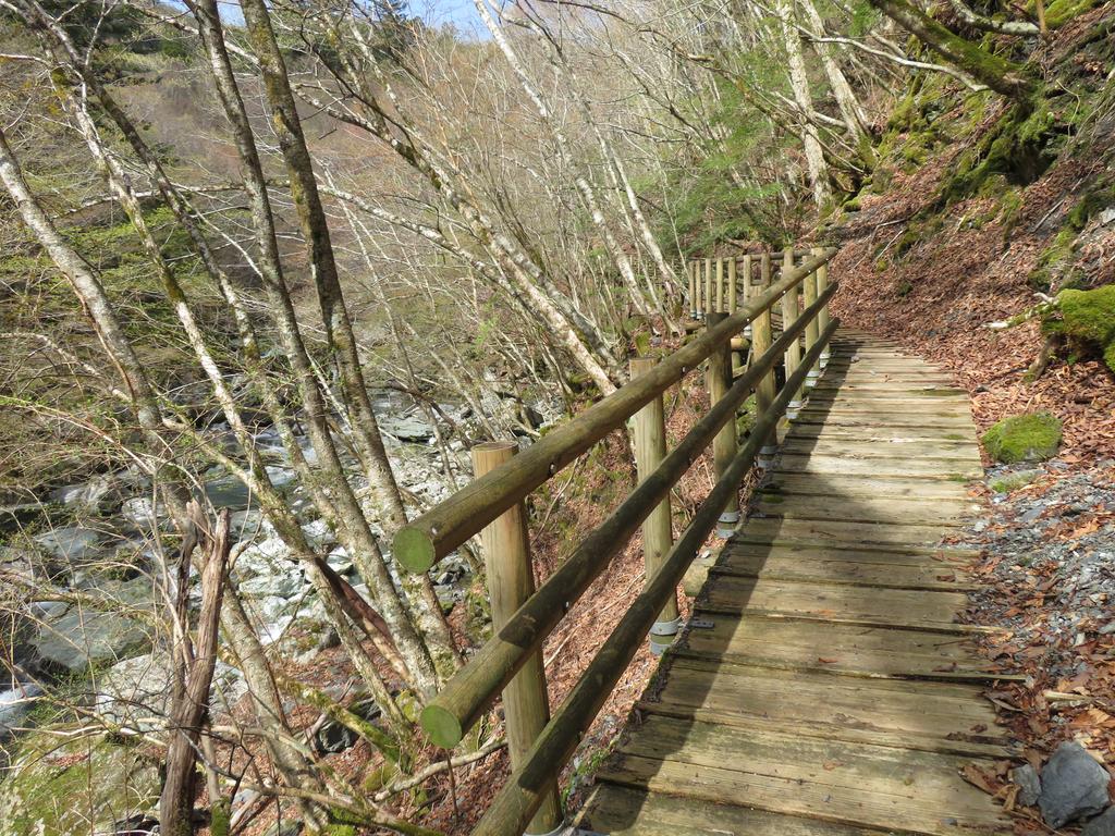 奥祖谷二重かずら橋/遊歩道の景色(木道と川)