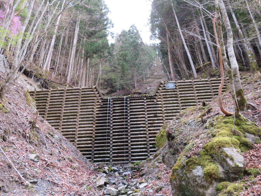 奥祖谷二重かずら橋/遊歩道の景色(木製堰堤)