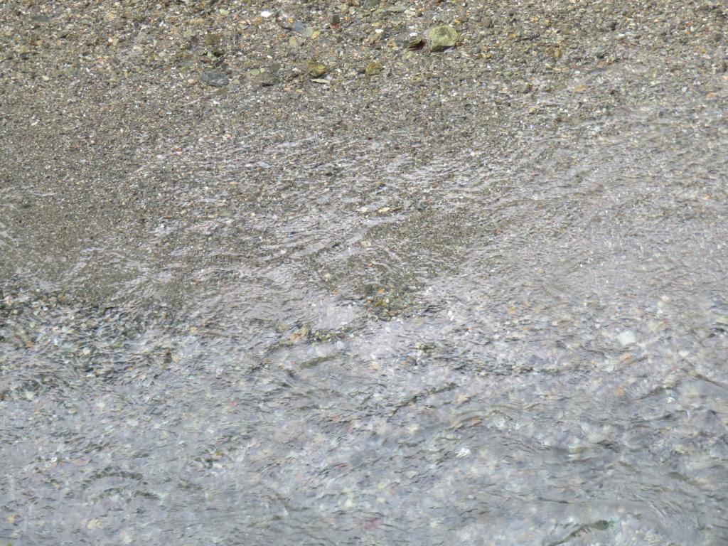 奥祖谷二重かずら橋/遊歩道の景色(川の水)