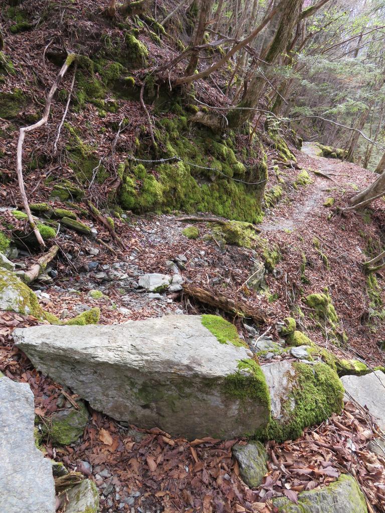奥祖谷二重かずら橋/遊歩道