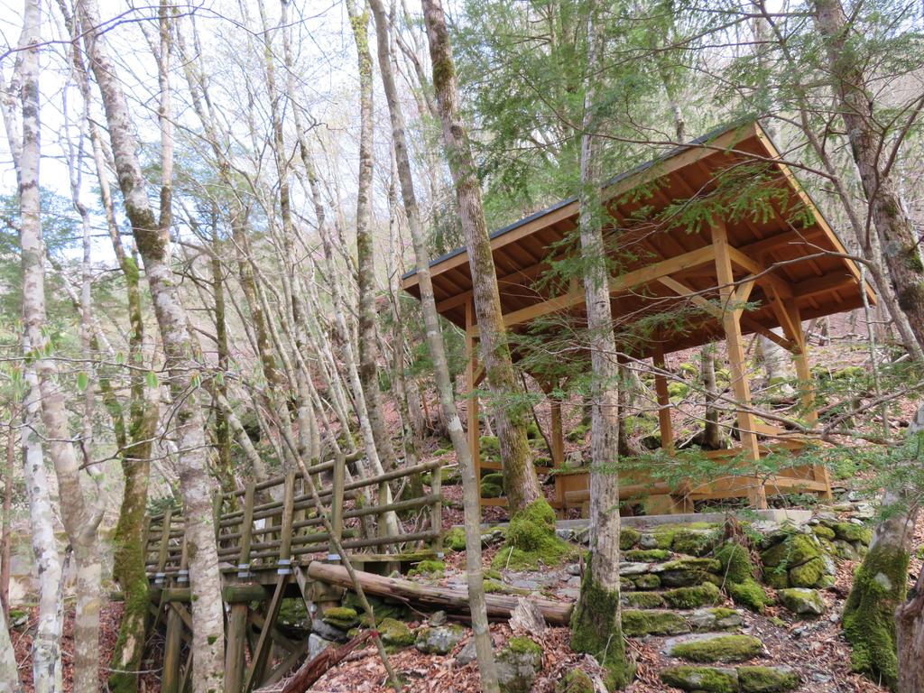 奥祖谷二重かずら橋/遊歩道の景色(ゴール)