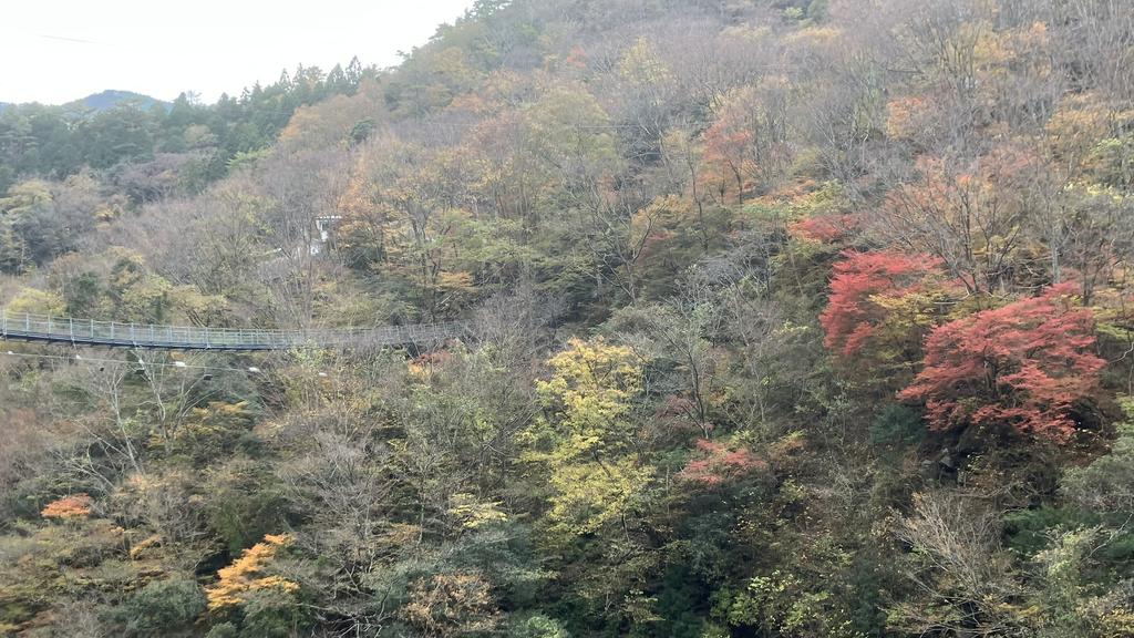 祖谷の観光サイト/龍宮崖公園